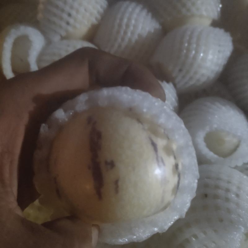 云南人参果圆果
