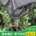 厂家现货防草布.果园除草布透气透水保湿保肥.耐老化防草布
