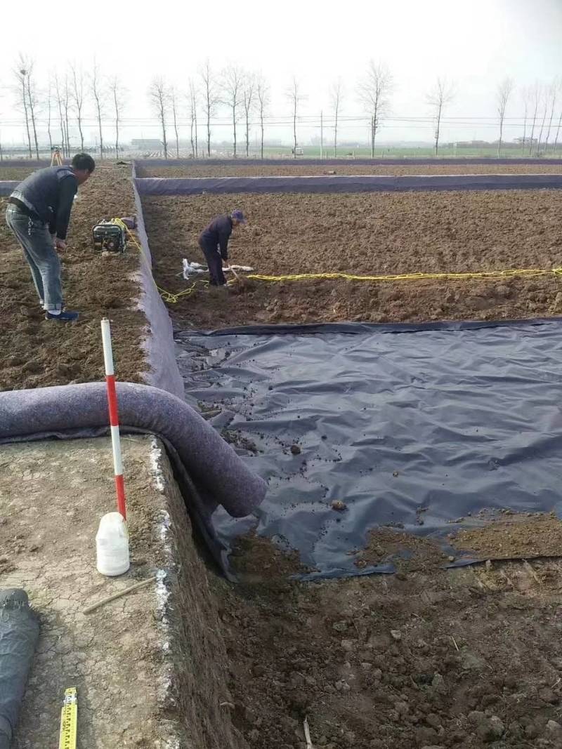 鱼塘养殖防渗土工膜.藕池防渗膜.防漏pe膜