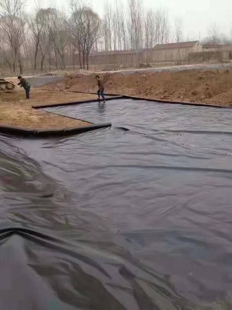 鱼塘养殖防渗土工膜.藕池防渗膜.防漏pe膜