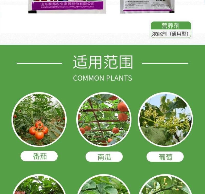 授粉座果精坐果灵防落素叶面肥通用瓜果蔬菜果树授粉精保花保