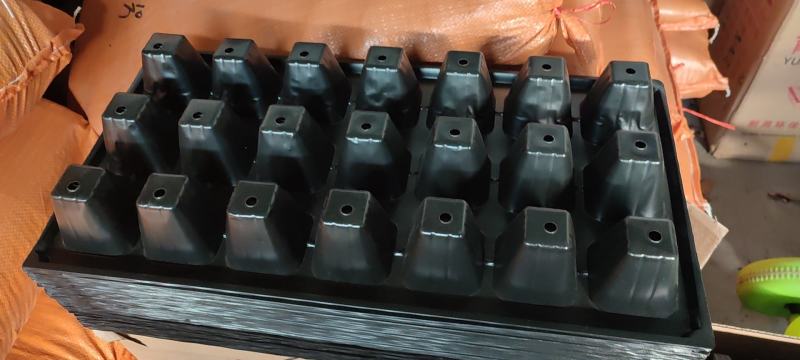 育苗盘多肉小花盆小号带托盘育种营养袋长方形盒子杯子培育箱