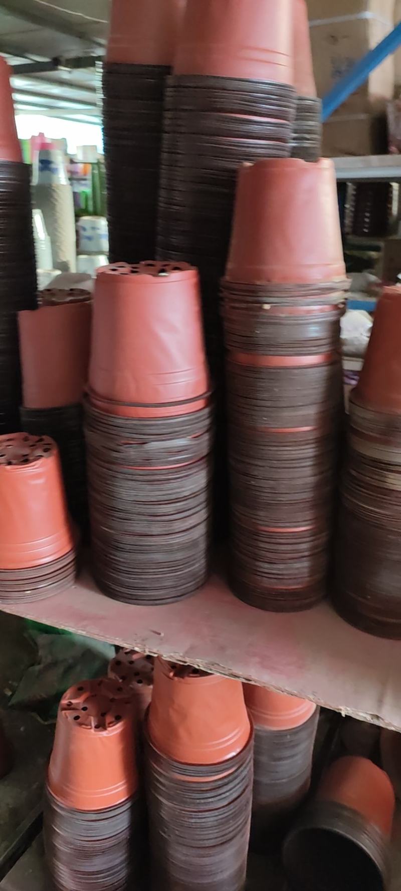 双色盆一次性花盆育苗盆营养钵简易特大号花盆育苗双色花盆种