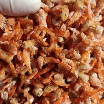 广西北海北部湾海红虾米
