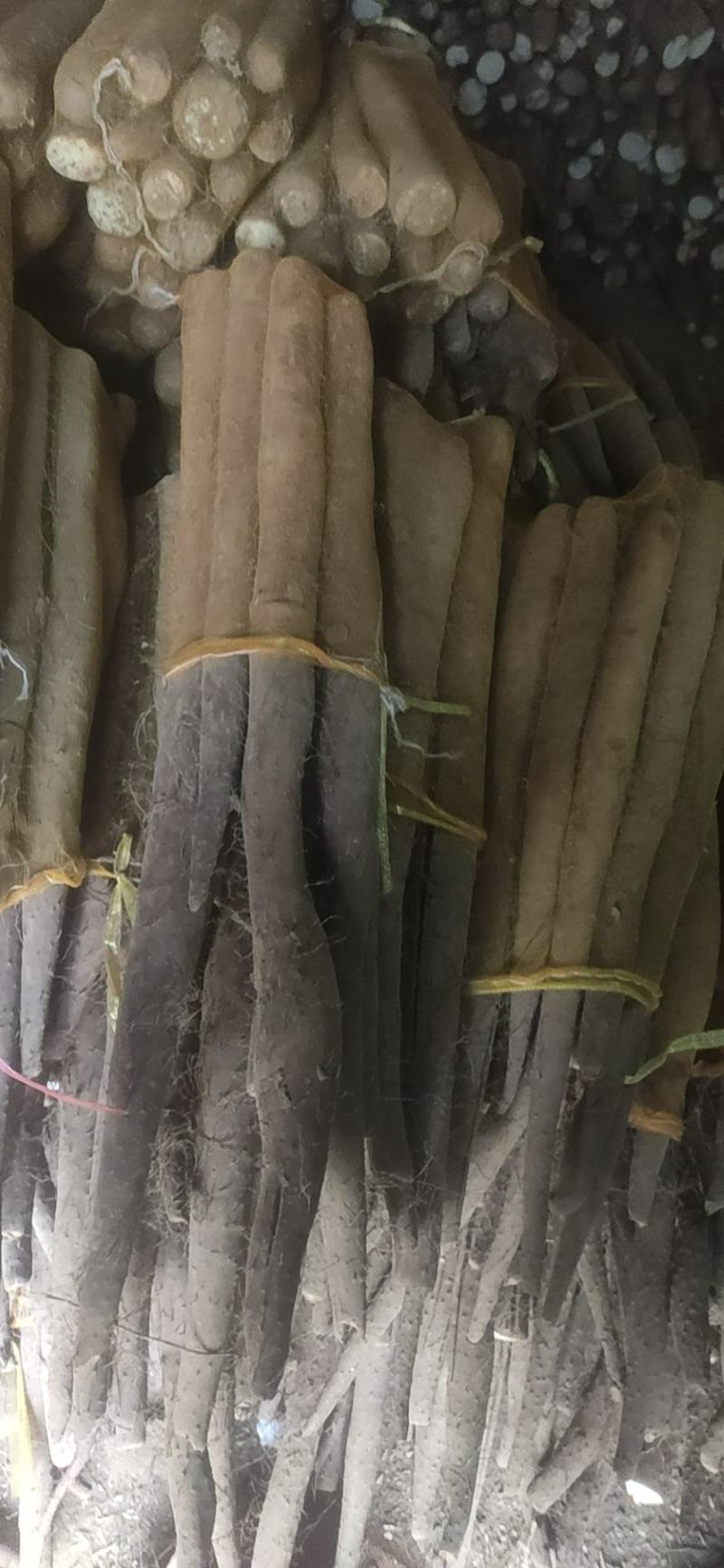 网袋山药，白玉通货，现货一车。
