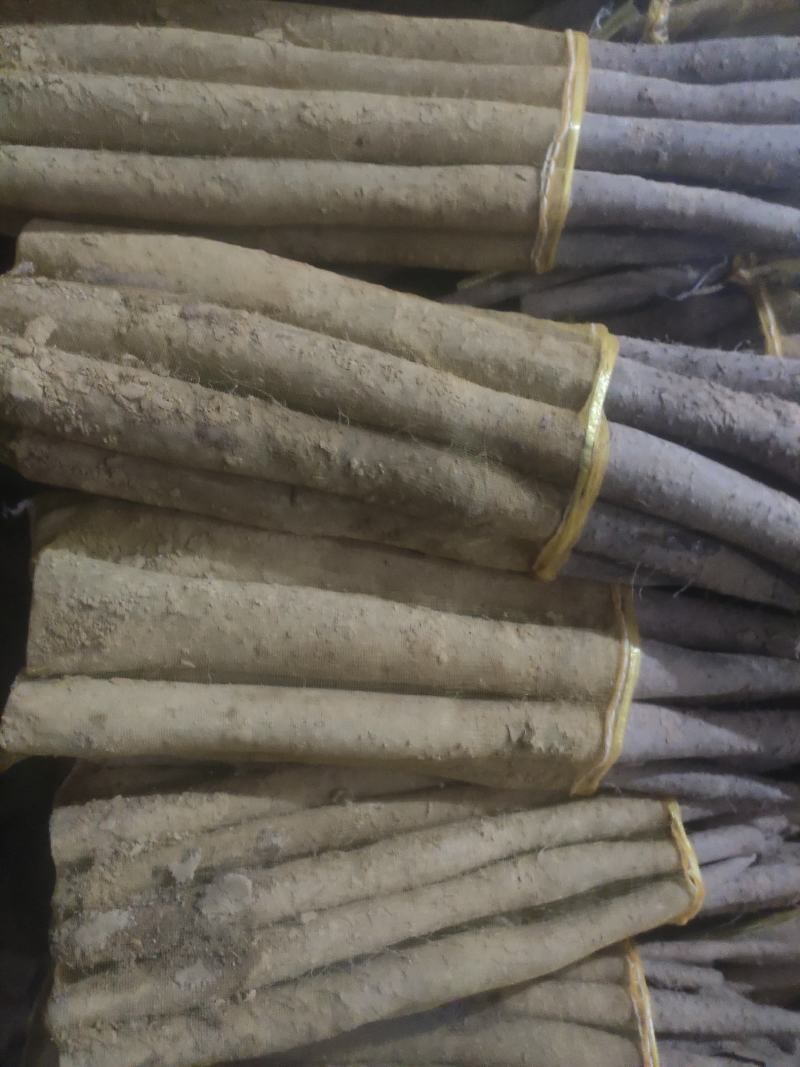 网袋山药，白玉通货，现货一车。