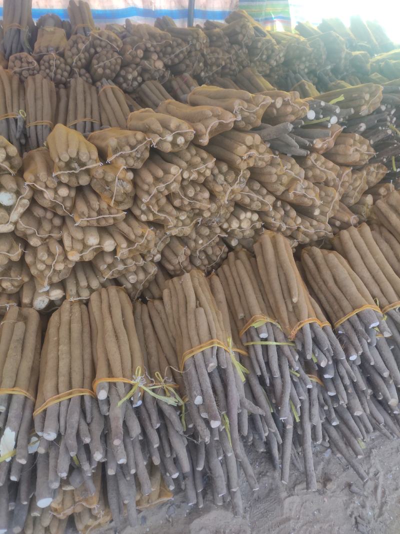 网袋山药，白玉通货，现货一车。