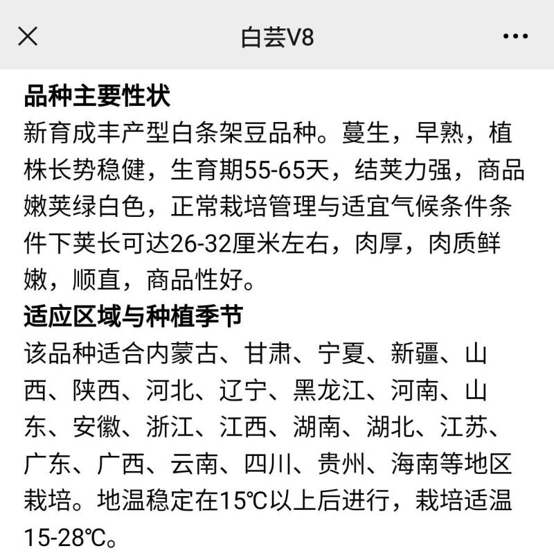 白芸V8早熟芸豆种子欧兰德高端四季豆种子无筋白荚高产