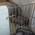 仔猪、太湖原种及二代母猪苗
