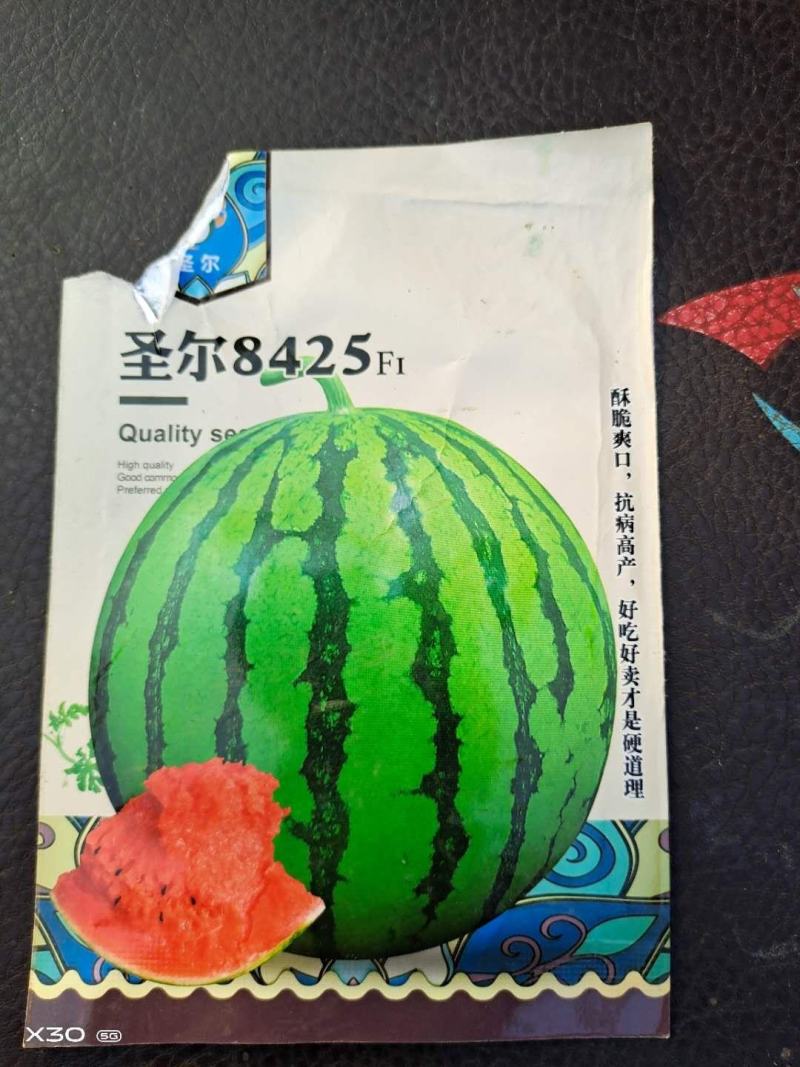甜瓜苗等各种嫁接瓜苗销售