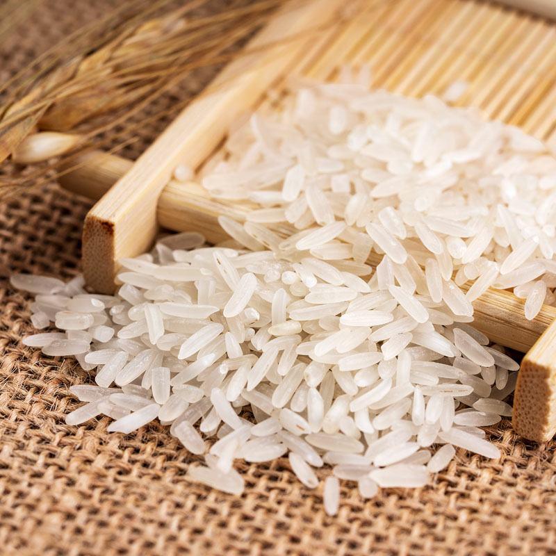 广东汕尾中谷米业中谷开心米5公斤南方新米