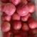 正宗山区红富士苹果大量供应产地代收代发口感脆甜保质保量