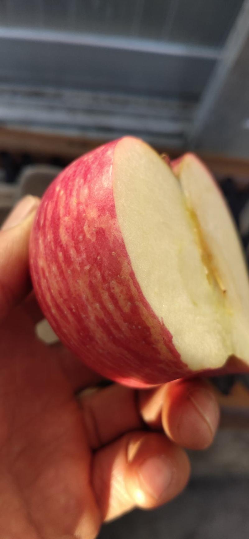 正宗山区红富士苹果大量供应产地代收代发口感脆甜保质保量