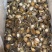 南非鲍鱼40头¥580元50-60头¥500元