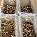 南非鲍鱼40头¥580元50-60头¥500元