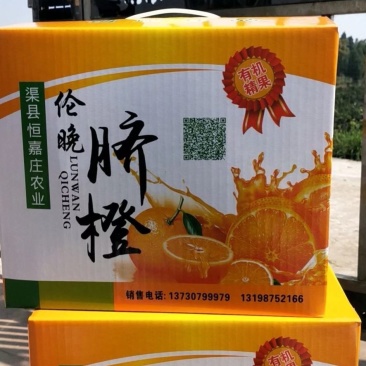 四川省达州市渠县伦晚脐橙(基地直供，量大自优，欢迎致电)