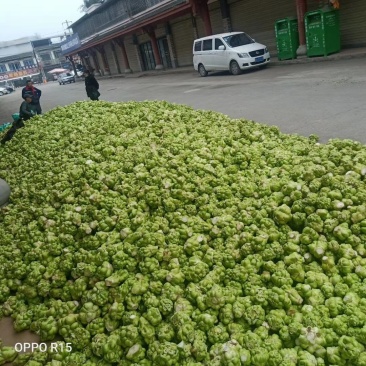 大邑大量出售榨菜厂货欢迎来电