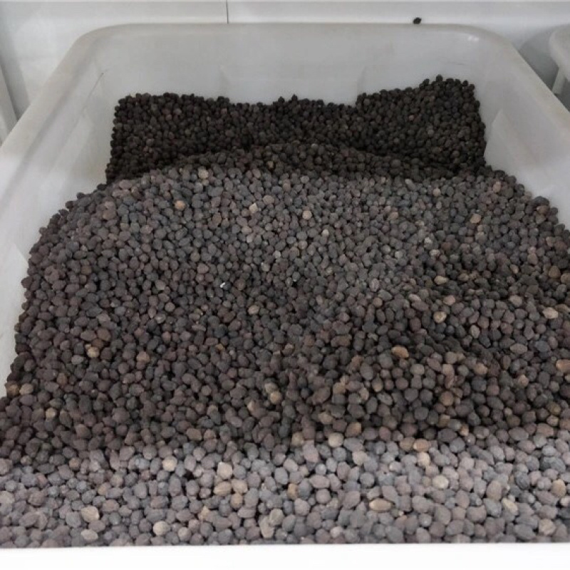 紫茉莉花种子夜来香盆栽地雷花园艺芳香花卉种子春播花籽