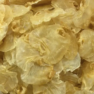 顺风胶赤嘴型花胶，足干足标！新鲜鱼肚烘晒，质量保证！