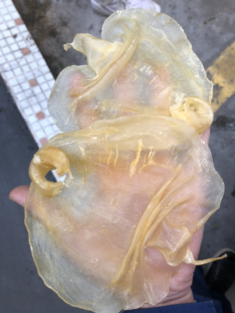 顺风胶赤嘴型花胶，足干足标！新鲜鱼肚烘晒，质量保证！