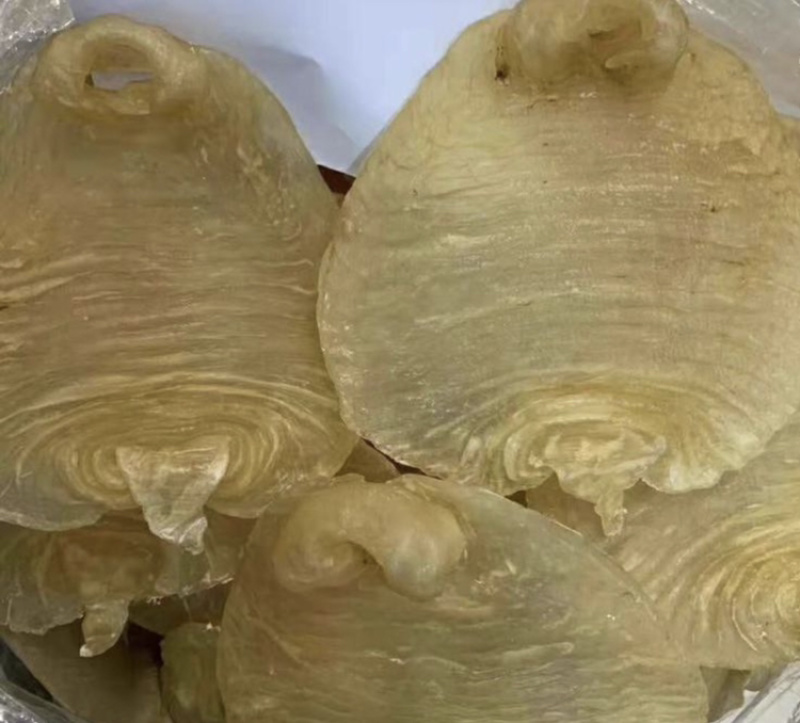 顺风胶赤嘴型花胶，足干足标！新鲜鱼肚烘晒，质量保证！