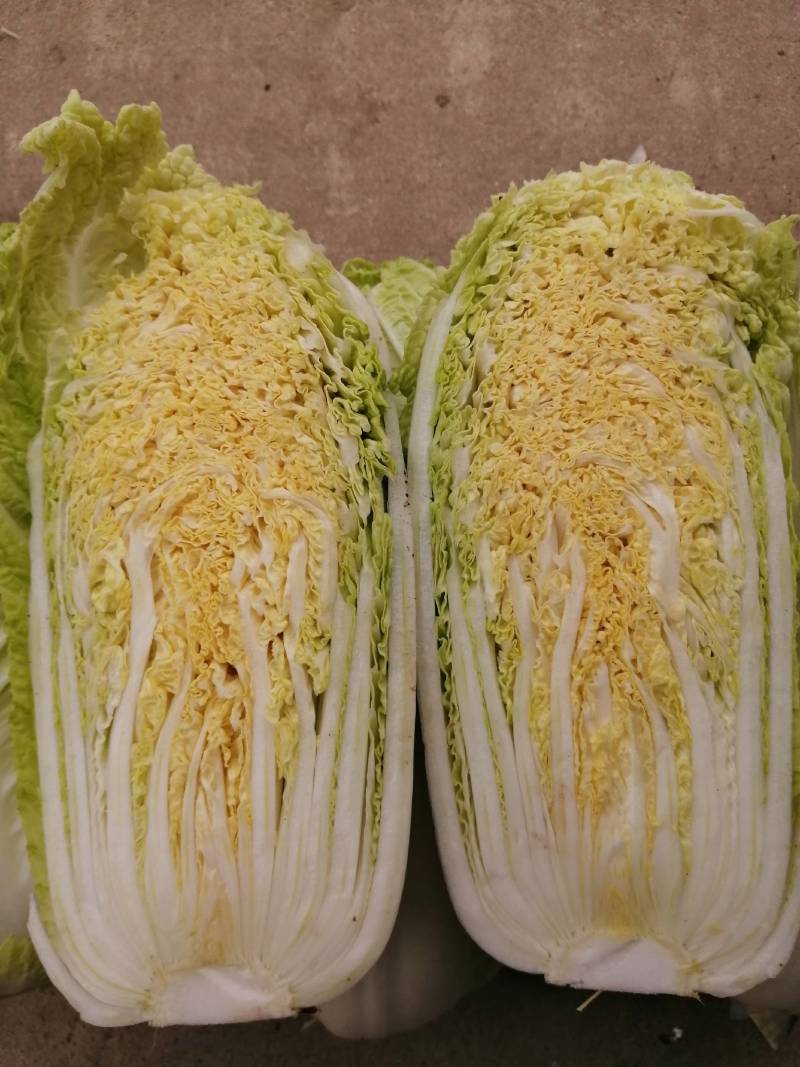 精品娃娃菜，黄心娃娃菜，
