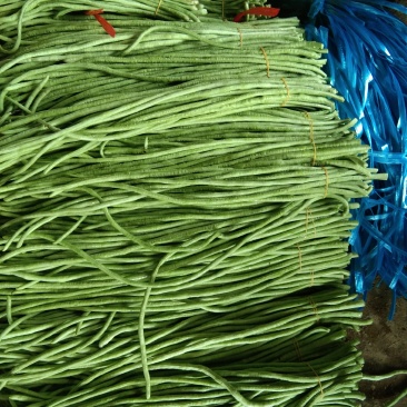 豆角，本地货大量上市，随时都可以联系，以诚信为本