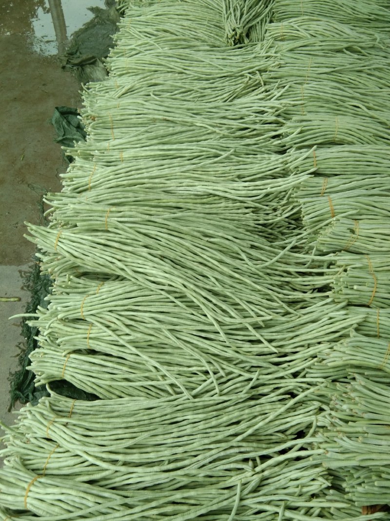 豆角，本地货大量上市，随时都可以联系，以诚信为本