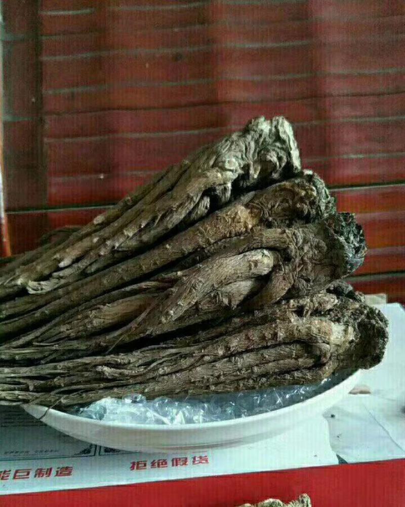 （包邮）甘肃岷县无硫大条当归当归片，产地批发质量保障