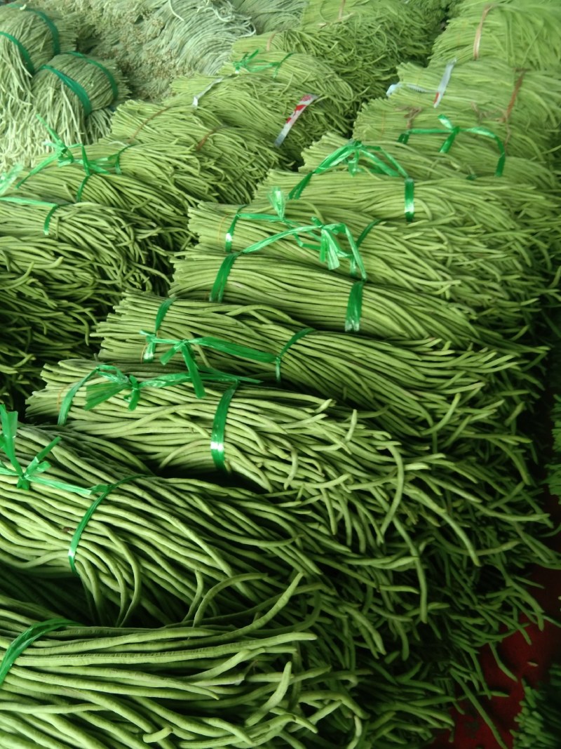 豆角，豇豆。白豆角。大量上市。需要的朋友请联系。