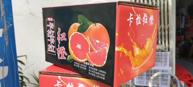 秭归红心橙中华红血橙塔罗科橙产地货源充足保质保量