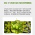 橄榄茶籽核桃食用植物调和油5升非转基因核桃油山茶橄榄油