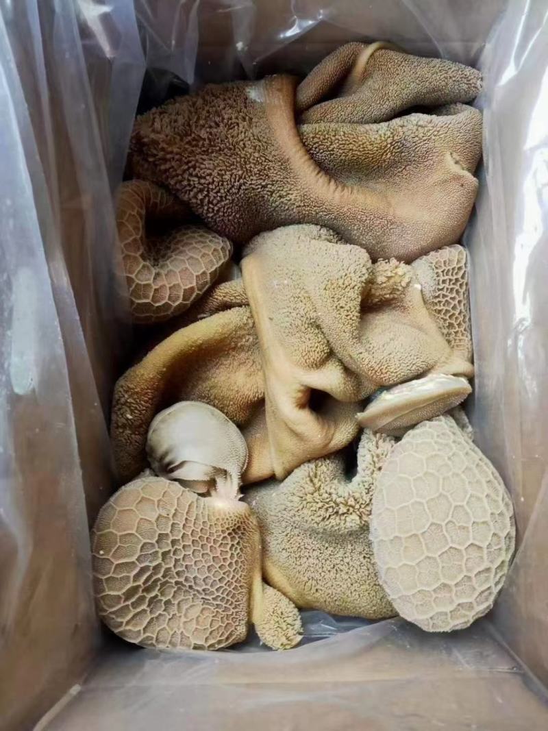 （熟羊肚）（价格便宜）免洗羊毛肚黑黄箱装自己加工厂