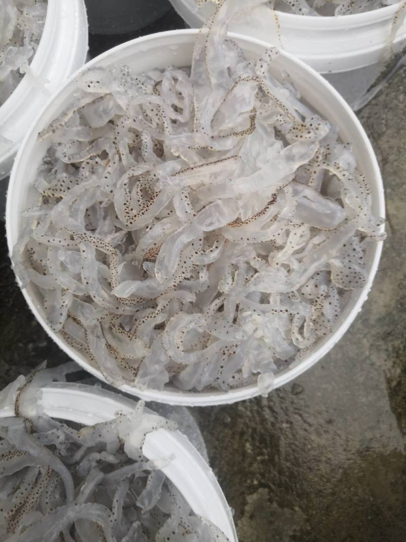 广东花丝，口感好，酒店专用，**酒店市场，一件可发