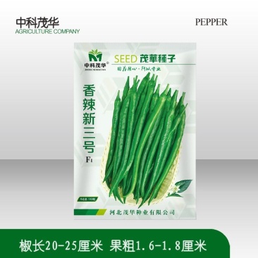香辣新三号线椒种子F1，浅绿色椒条香辣，基地种植