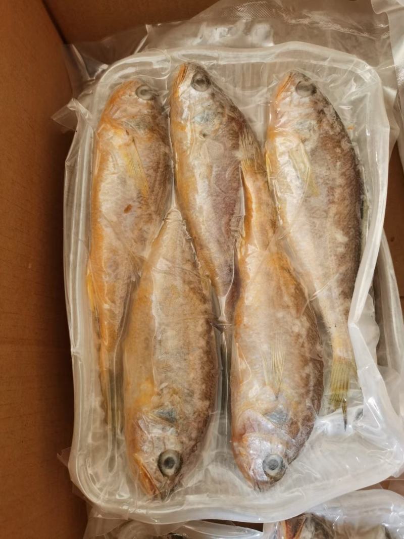海鲜组合大礼包海鲜大礼包