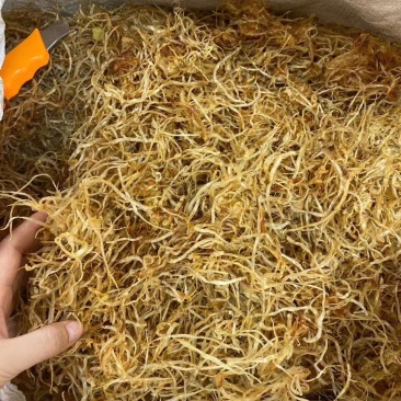 金龙鱼胶须胶条¥95元听说可以治愈流鼻血的金灿灿的