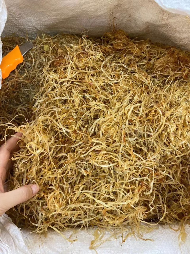 金龙鱼胶须胶条¥95元听说可以治愈流鼻血的金灿灿的