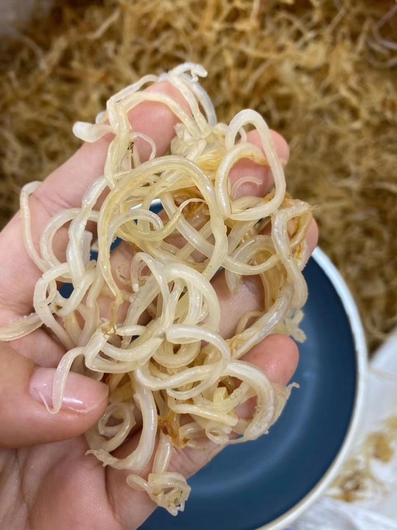 金龙鱼胶须胶条¥95元听说可以治愈流鼻血的金灿灿的
