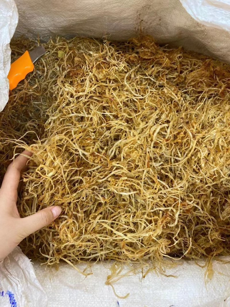 金龙鱼胶须胶条¥95元听说可以治愈流鼻血的金灿灿的