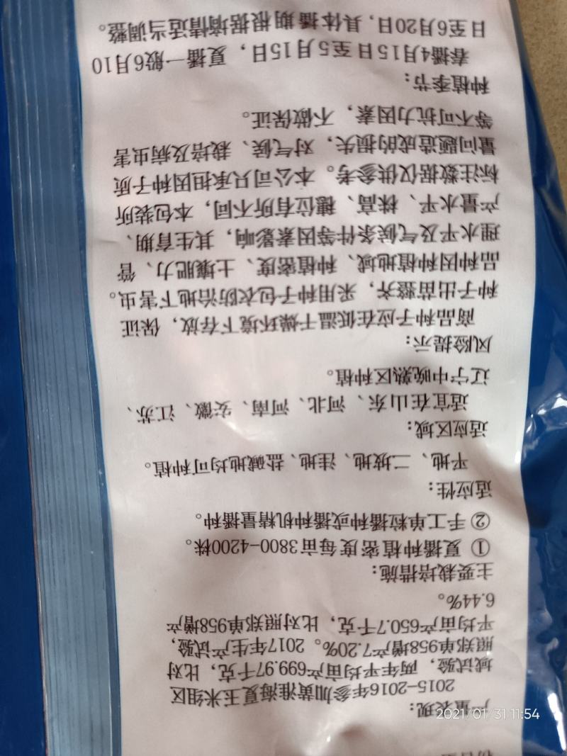 高产玉米种冠玉911一袋一亩地喜大肥大水