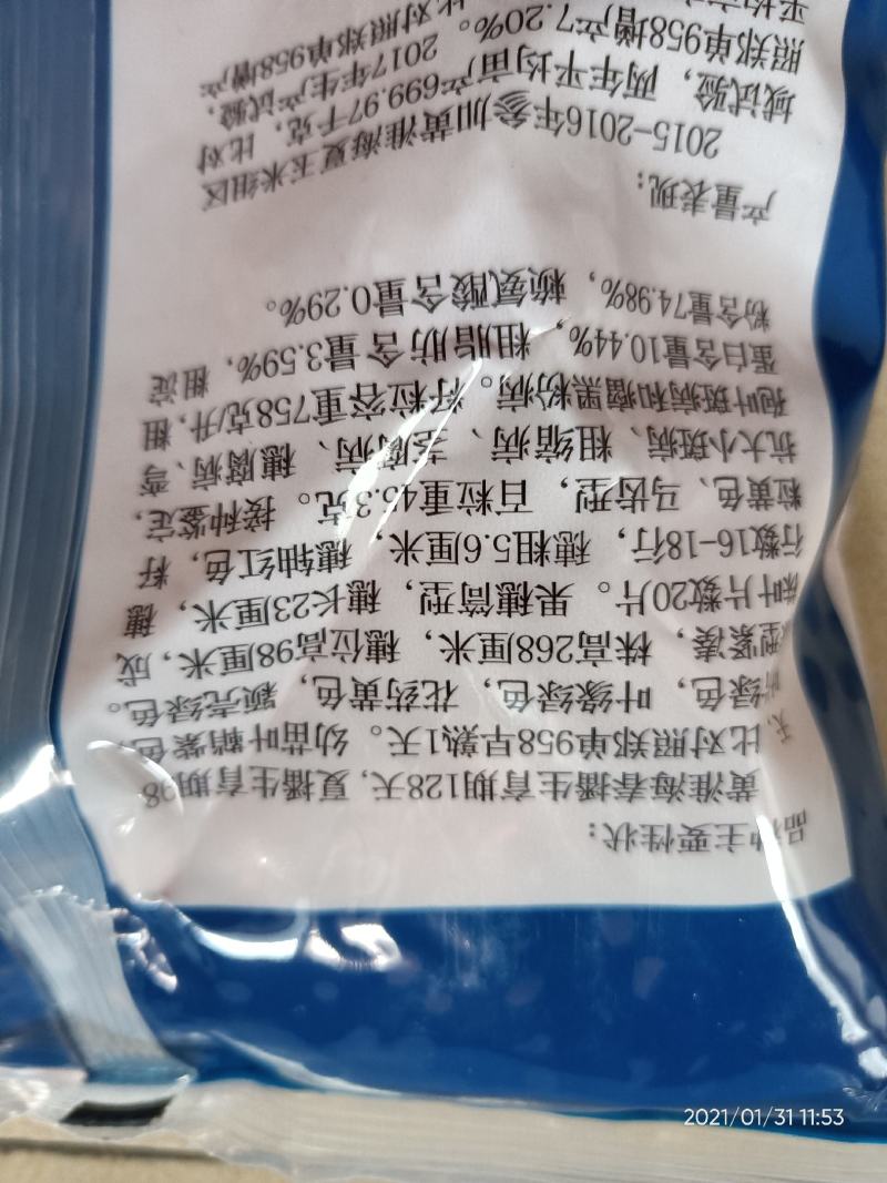 高产玉米种冠玉911一袋一亩地喜大肥大水