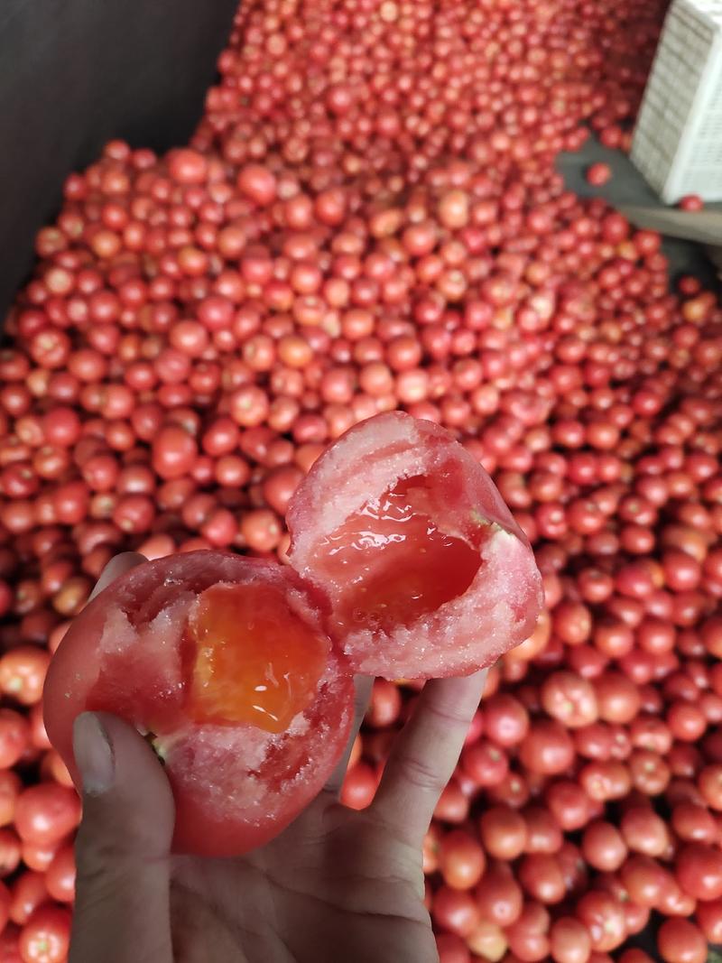 攀枝花大红石头果硬粉西红柿都有，支持各大商超来选购。