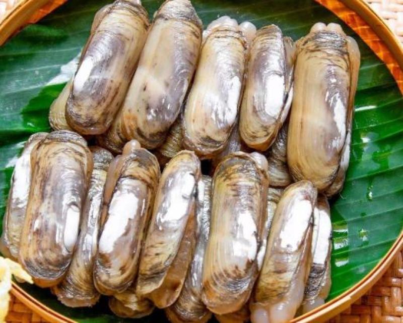 欢迎电商采购。