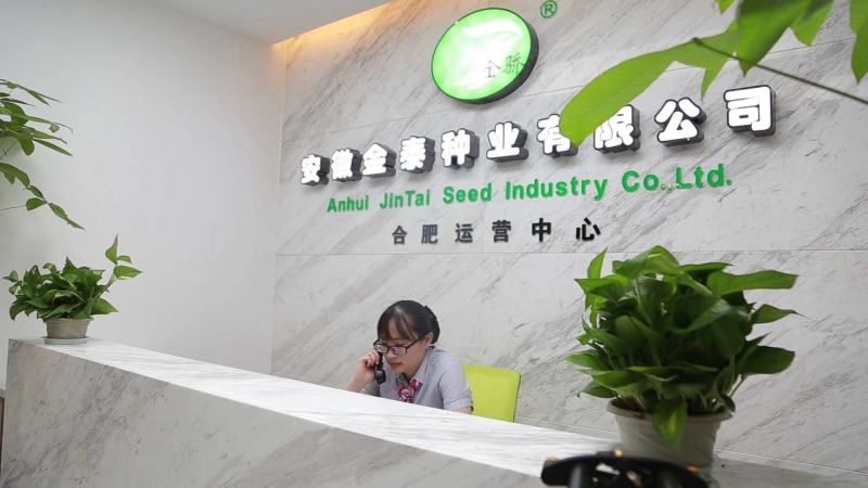 艳红辣椒种子，砚红小米辣朝天椒种子，颜色好，早熟