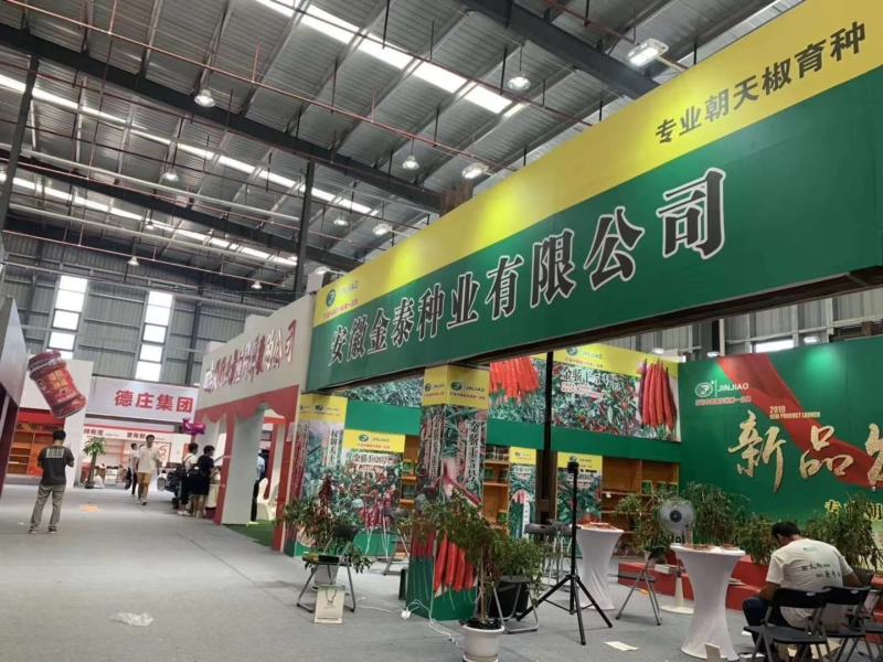 艳红辣椒种子，砚红小米辣朝天椒种子，颜色好，早熟