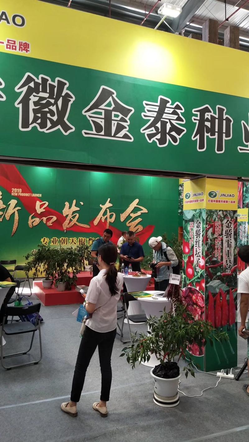 艳红辣椒种子，砚红小米辣朝天椒种子，颜色好，早熟