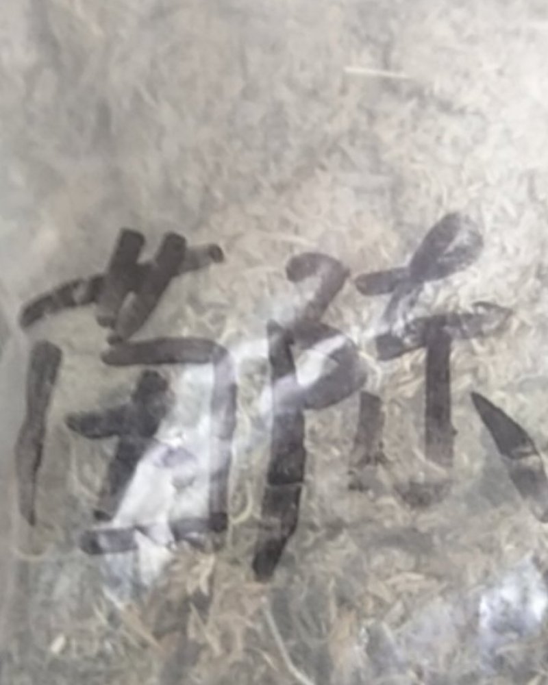 茵陈产地直销，量小不包邮，量大从优