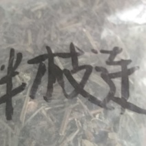 半枝莲产地直销量小不包邮，量大从优