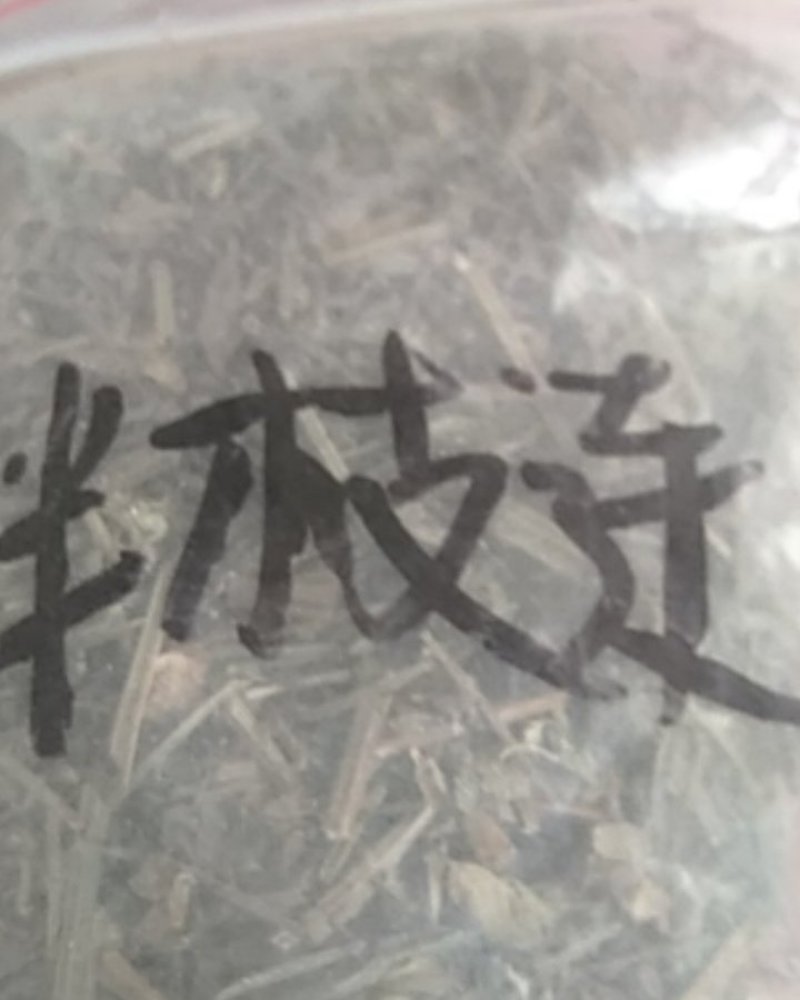 半枝莲产地直销量小不包邮，量大从优